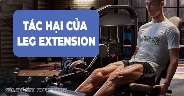 Các bài tập hip extension hiệu quả nhất?