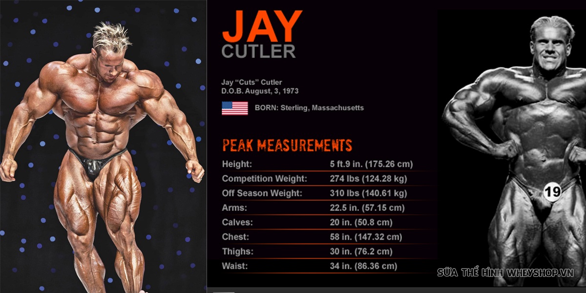 Jay Cutler là vận động viên thể hình huyền thoại Thế giới với 4 lần vô địch MrOlympia. Cập nhật thông tin, hình ảnh mới nhất về Jay Cutler ...