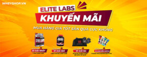 ELITE LABS ACTIVATION THÁNG 11/2020