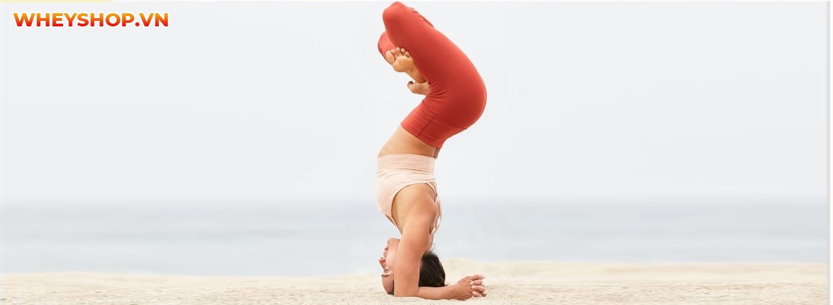 "Balance yoga", bạn có vì sao hình thích tập luyện yoga được rất nhiều các bạn trẻ ưa chuộng hiện nay ?