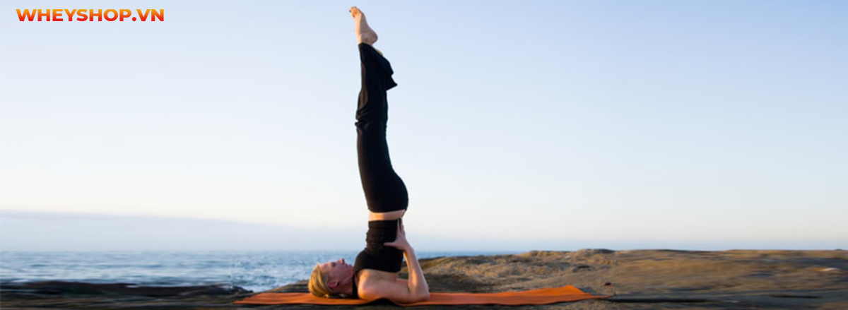 Tập yoga có tăng chiều cao không ? Tập thế nào để phát triển chiều hiệu quả ?