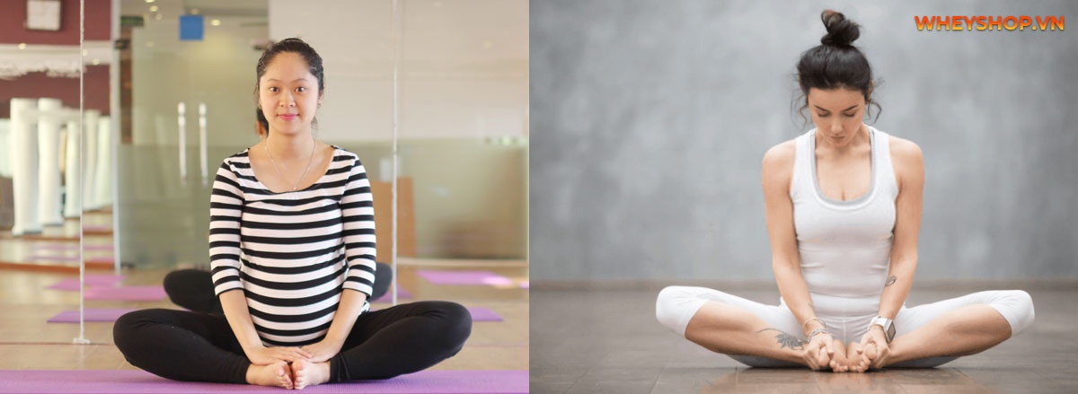 Bài tập thể dục Yoga tốt cho tử cung được rất nhiều các chị em phụ nữ quan tâm. Chị em hãy cùng tham khảo và thực hiện đúng kỹ thuật các bài tập này nhé!