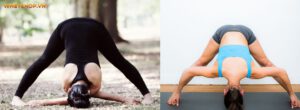"bài tập yoga giúp eo thon" là từ khóa top đầu được các chị em quan tâm. Vậy tập luyện thế nào đạt hiệu quả thì chúng ta cùng tìm hiểu nội dung bài viết này nhé.