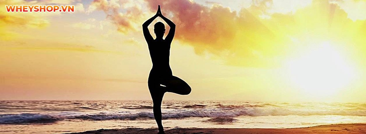 Tập yoga có tăng chiều cao không ? Tập thế nào để phát triển chiều hiệu quả ?