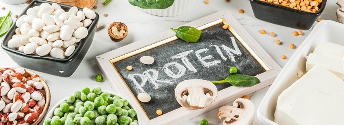 Protein thực vật là gì? Protein thực vật thay cho thế được protein động vật hoang dã không? Tham khảo top 50 đồ ăn nhiều protein thực vật chất lượng nhất