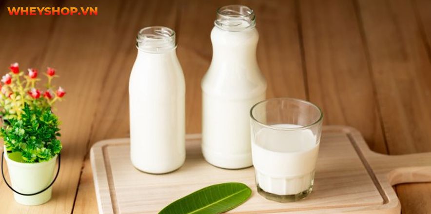 Uống sữa tươi không đường có béo không và câu trả lời giải đáp thắc mắc cho các bạn chi tiết trong bài viết sau đây ...