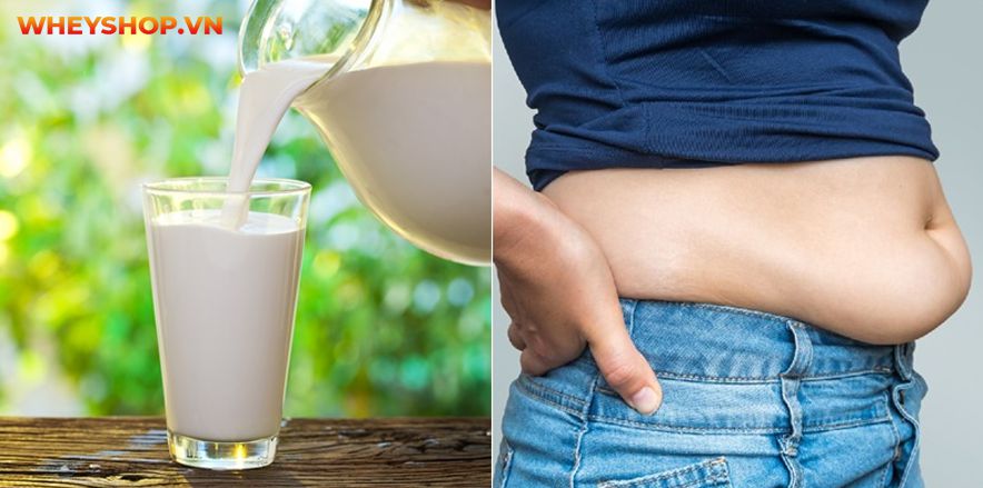 Uống sữa tươi không đường có béo không và câu trả lời giải đáp thắc mắc cho các bạn chi tiết trong bài viết sau đây ...
