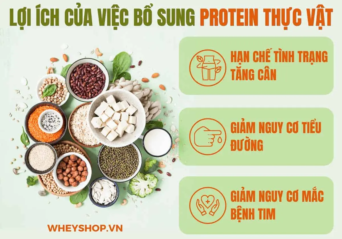 top-50-thuc-pham-giau-protein-thuc-vat-01