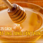 25-cach-uong-mat-ong-de-tang-can-01