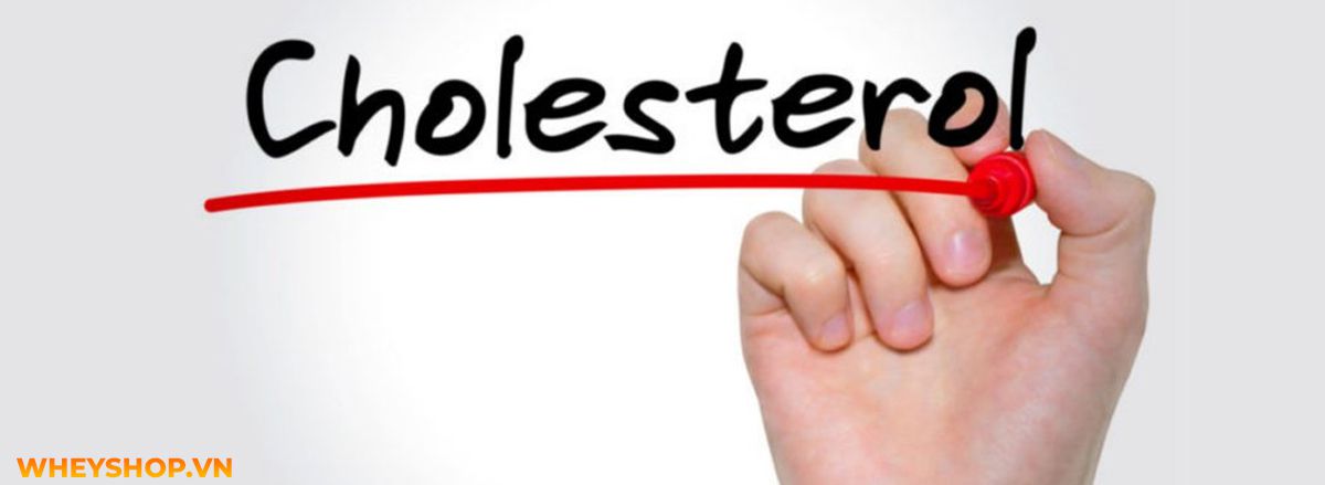 Cholesterol là gì, lợi ích và vai trò của cholesterol với sức khỏe toàn diện. Cùng WheyShop tìm hiểu chi tiết về cholesterol qua bài viết ngay sau đây nhé...