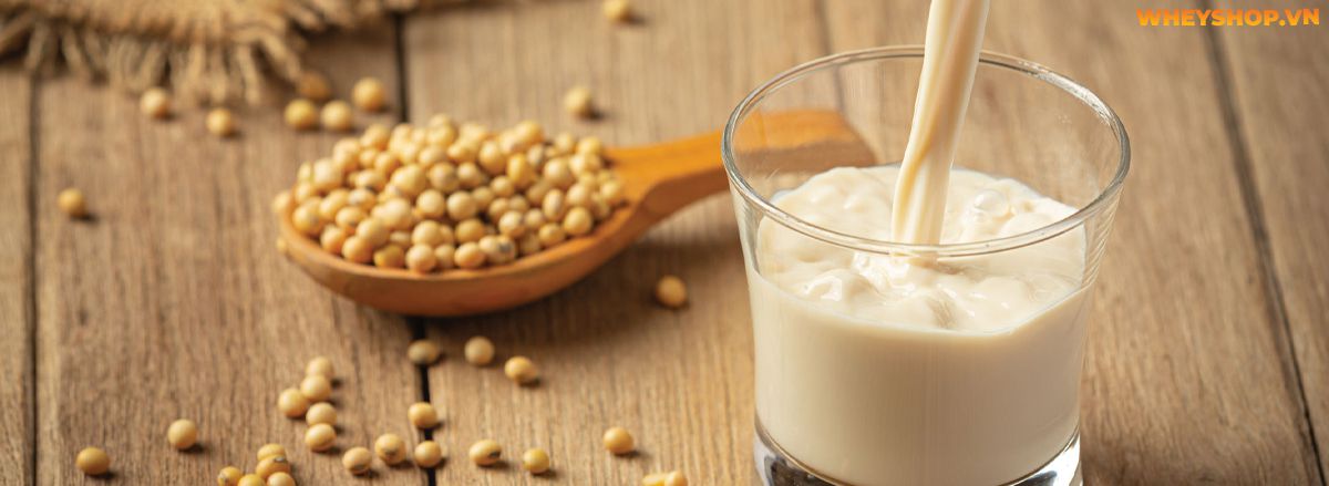 Nếu bạn đang băn khoăn tìm hiểu tác dụng của sữa đậu nành thì hãy cùng WheyShop điểm qua 10 lợi ích của sữa đậu nành khiến bạn ngỡ ngàng,...