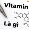 Nếu bạn đang băn khoăn về lợi ích của Vitamin B2 thì hãy cùng WheyShop tìm hiểu chi tiết qua bài viết ngay sau đây nhé...