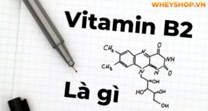 Vitamin B2 là gì? Vai trò lợi ích của vitamin B2 với sức khỏe chúng ta 