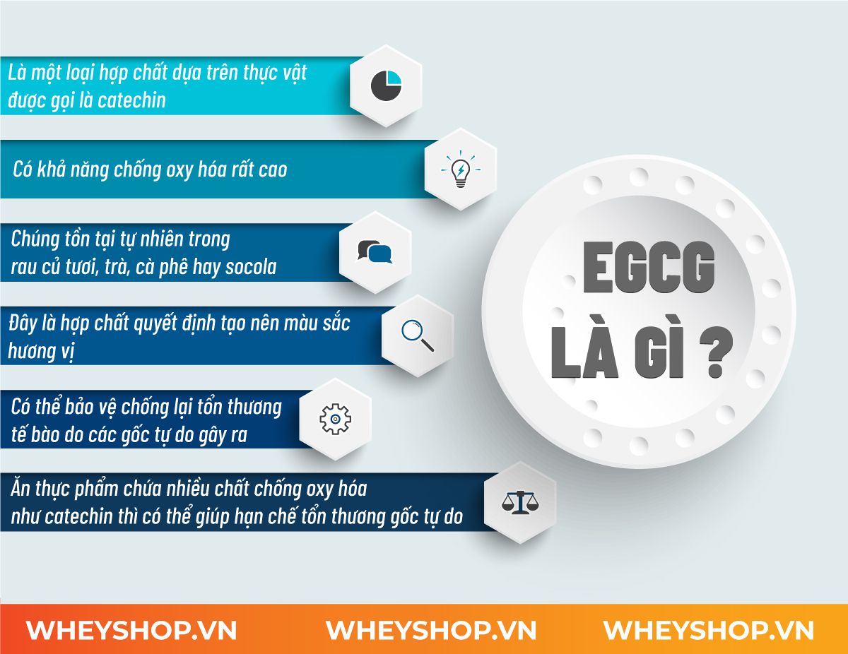EGCG là gì? Hãy cùng WheyShop tìm hiểu chi tiết về công dụng lợi ích và những lưu ý bổ sung EGCG qua bài viết...
