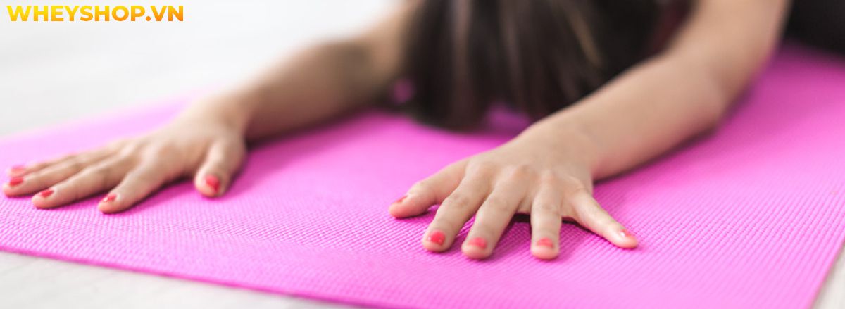 Nếu bạn đang phân vân tìm kiếm thảm tập yoga loại nào tốt thì hãy cùng WheyShop tham khảo chi tiết cách chọn thảm tập Yoga qua bài viết...