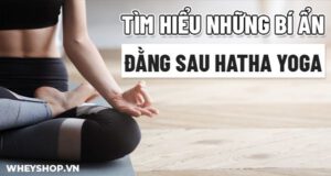 Tìm hiểu những bí ẩn đằng sau Hatha Yoga