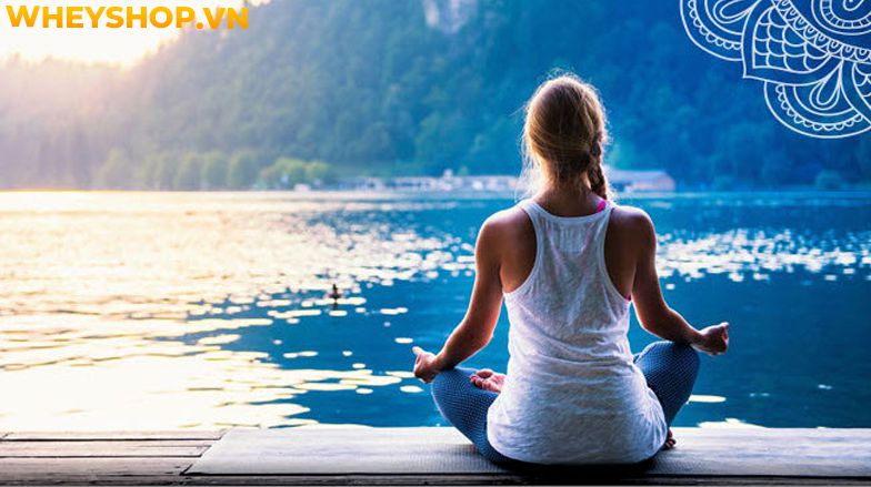 Raja Yoga là một trong bốn con đường Yoga thường gặp để dẫn con người đến một nơi mà tâm trí sẽ cảm thấy tĩnh lặng và thăng hoa. Vậy bản chất của Raja Yoga...