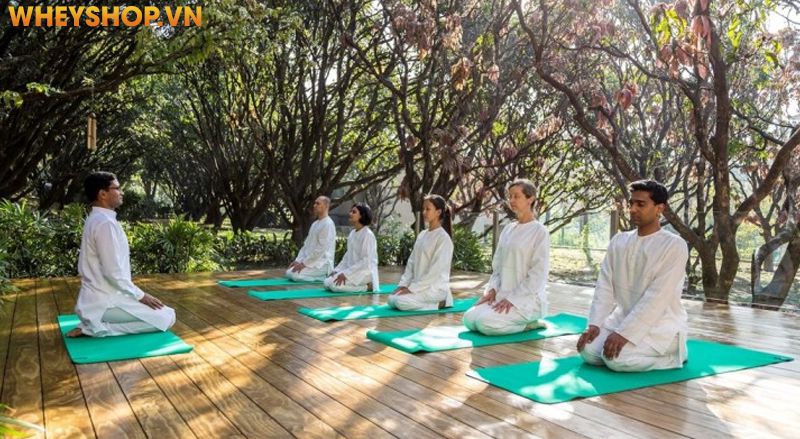 Yoga Ấn Độ sẽ là "món quà" dành cho các chị em phụ nữ đang tìm kiếm lại sự trẻ trung và duyên dáng của cơ thể để có thể tự tin dạo phố với bất kỳ các loại...