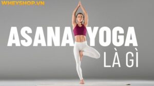 Giải đáp thắc mắc: Asana yoga là gì?