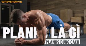 Giải đáp thắc mắc: Planks là gì? Hướng dẫn tập planks đúng cách