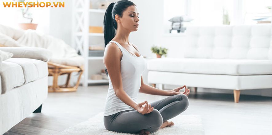 Nếu bạn đang quan tâm về bộ môn Yoga mà vẫn chưa hiểu rõ về lợi ích của Yoga thì bài viết này, WheyShop sẽ cùng các bạn tìm hiểu chi tiết về lợi ích của Yoga...