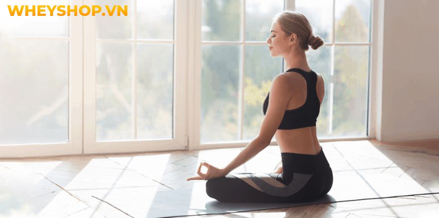 Ngồi thiền Yoga là một trong những phương pháp hữu hiệu giúp người tập giải tỏa căng thẳng, mệt mỏi, tìm được sự an yên trong suy nghĩ và tâm hồn. Vì thế mà...