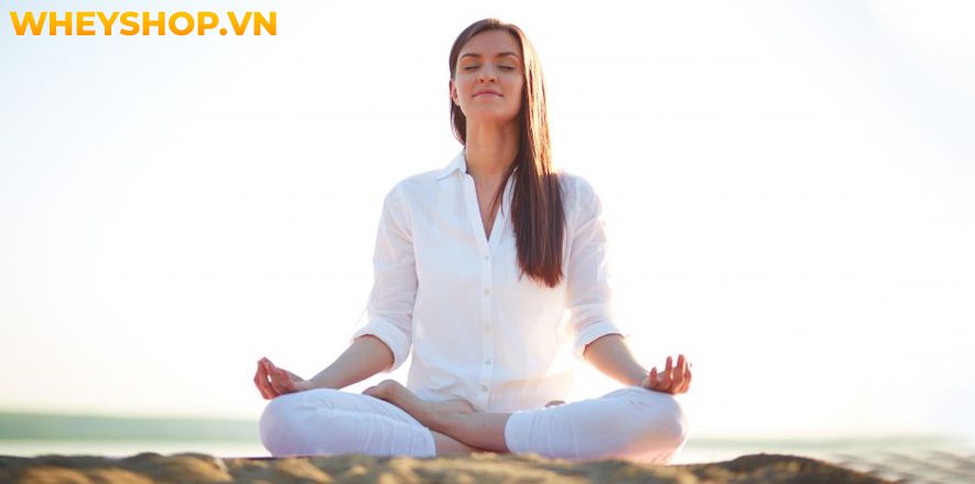 Ngồi thiền Yoga là một trong những phương pháp hữu hiệu giúp người tập giải tỏa căng thẳng, mệt mỏi, tìm được sự an yên trong suy nghĩ và tâm hồn. Vì thế mà...