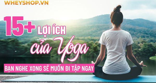 Nếu bạn đang quan tâm về bộ môn Yoga mà vẫn chưa hiểu rõ về lợi ích của Yoga thì bài viết này, WheyShop sẽ cùng các bạn tìm hiểu chi tiết về lợi ích của Yoga...