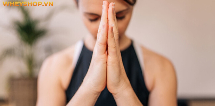 Namaste là gì ? Khái niệm Namaste được coi là khái niệm đầu tiên mà người tập yoga cần được biết đến trước cả khi bắt đầu tập luyện bộ môn này. Namaste được...
