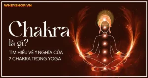Chakra là gì? Tìm hiểu về ý nghĩa của 7 Chakra trong Yoga