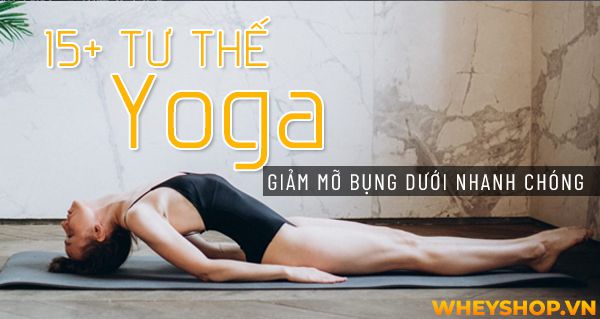 Nếu bạn đang tìm hiểu những bài tập Yoga giảm mỡ bụng dưới đơn giản, hiệu quả thì hãy cùng WheyShop tham khảo bài viết dưới đây sẽ giới thiệu cho các bạn 15...