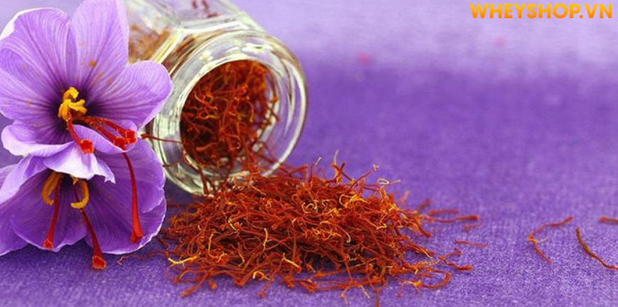 Nếu bạn đang tìm hiểu về nhuỵ hoa nghệ tây Saffron là gì thì hãy cùng WheyShop điểm qua 5 tác dụng của Saffron trong bài viết ngay nhé... Edit Snippet