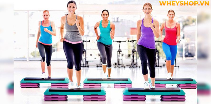 Thể dục nhịp điệu aerobic chắc hẳn không còn xa lạ gì đối với những người muốn giảm cân, giảm mỡ nhanh chóng ở Việt Nam. Tuy nhiên, bạn có biết thực chất tập...