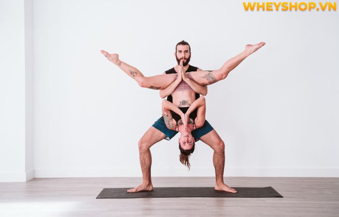 Acro Yoga là gì? Cùng WheyShop tìm hiểu về lợi ích tuyệt vời của Acro Yoga và hướng dẫn cách tập dành cho người mới qua bài viết...