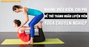 Những điều kiện, chi phí để trở thành huấn luyện viên Yoga chuyên nghiệp