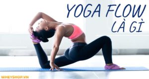 Yoga Flow là gì? Hướng dẫn tập Yoga Flow dành cho người mới