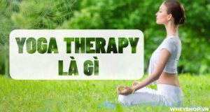 Yoga Therapy là gì? Hướng dẫn tập Yoga Therapy cho người mới bắt đầu