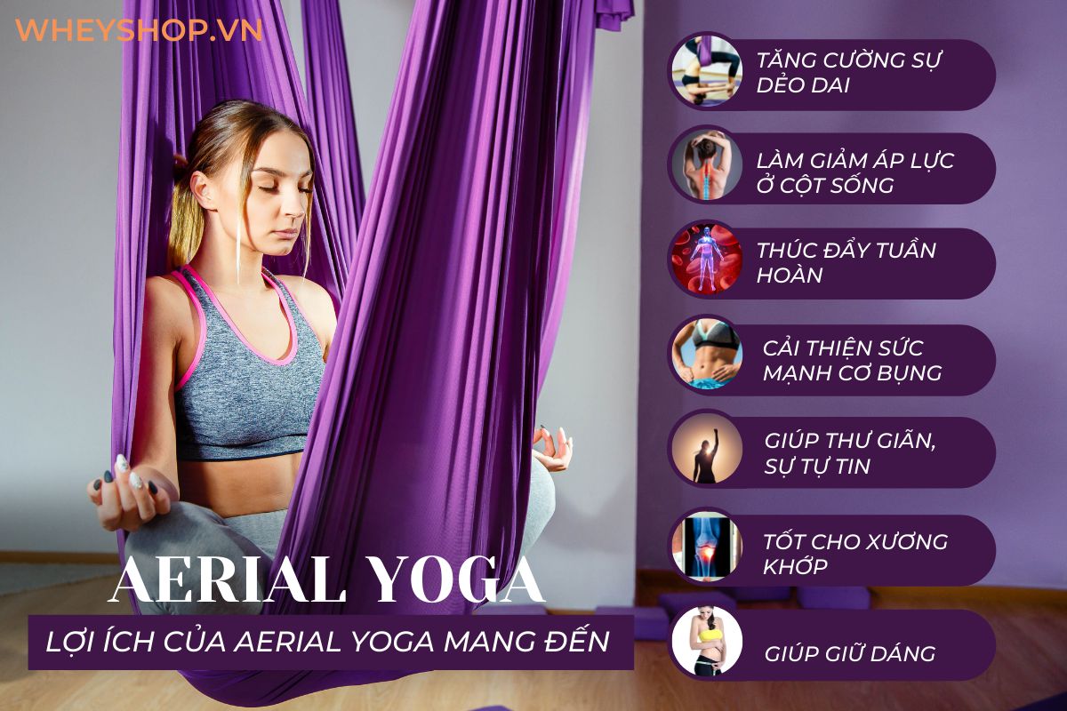 Aerial Yoga còn khá mới lạ so với người Việt Nam, nhưng đã rất phổ biến trên toàn cầu vì những lợi ích sức khỏe mà bộ môn này mang lại. Tuy nhiên, để quyết...