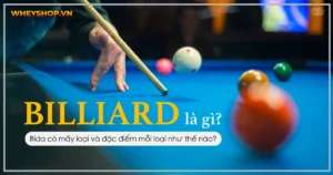 Billiard là gì? Bida có mấy loại và đặc điểm mỗi loại như thế nào?