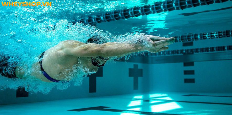 Tập bơi có thể là một hoạt động đầy sự căng thẳng và lo lắng đối với những người mới. Vậy xin mời bạn hãy cùng tìm hiểu ngay cách học bơi cho người mới bắt...