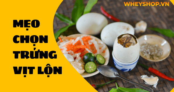 Nếu bạn chưa biết cách chọn trứng vịt lộn và luộc trứng vịt lộn ngon không nứt vỡ thì hãy cùng WheyShop tham khảo bài viết...