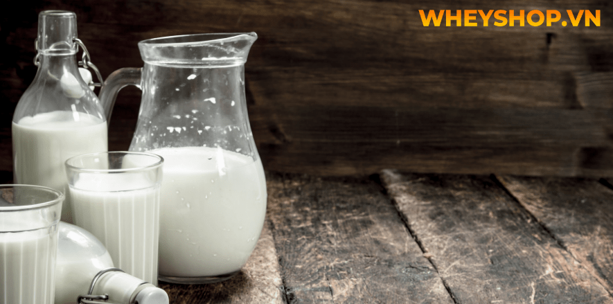 Sữa bò là thức uống được nhiều người biết đến. Tuy sữa bò cũng rất giàu giá trị dinh dưỡng nhưng không nên bỏ qua những tác hại của sữa bò. Nó gây ảnh hưởng...