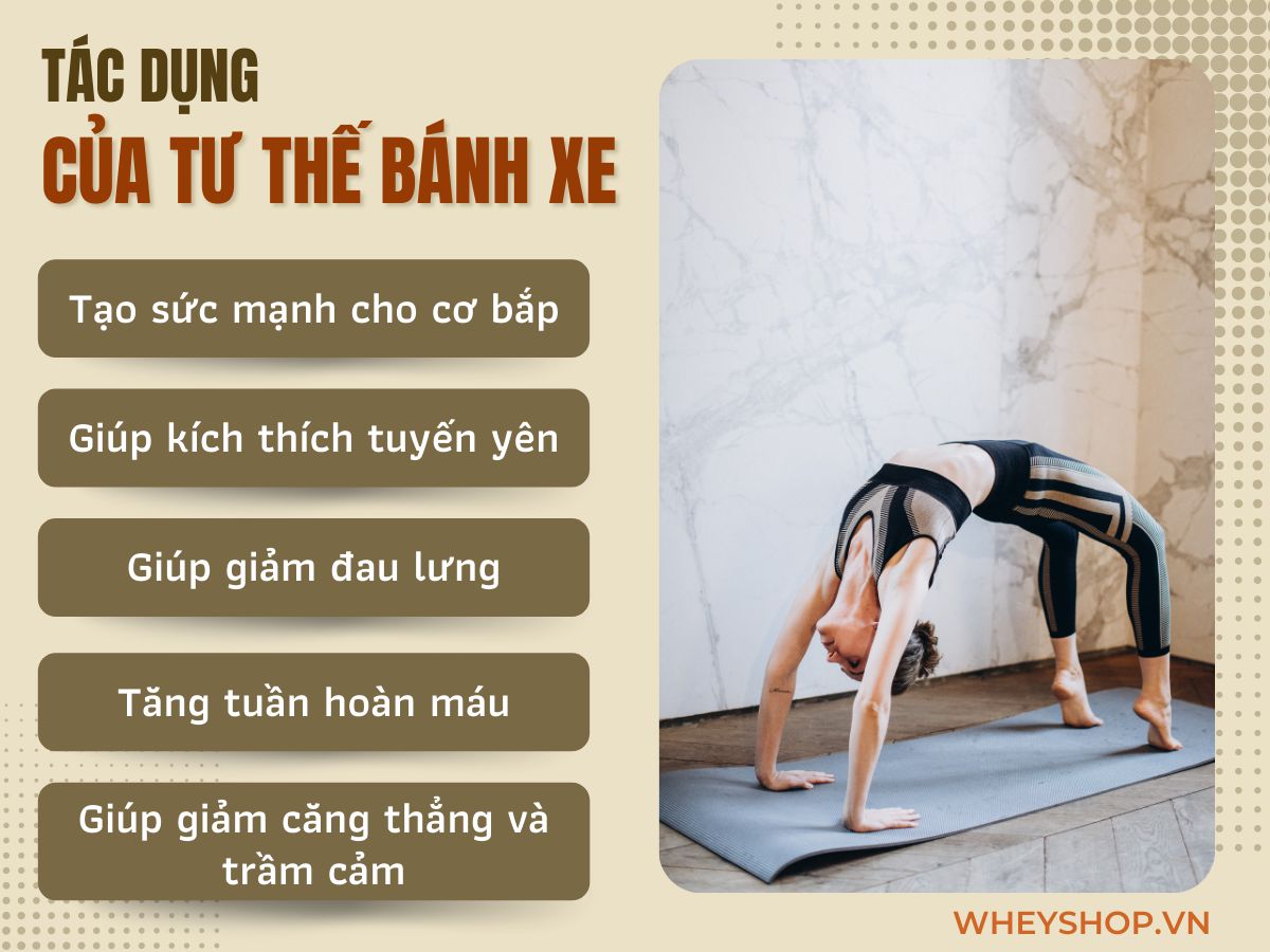 Tư thế Bánh Xe - Yoga Wheel Pose là động tác không chỉ giúp bạn đốt mỡ thừa hiệu quả mà còn tăng độ dẻo dai, rắn chắc của cơ thể. Tuy nhiên, tư thế Yoga này...