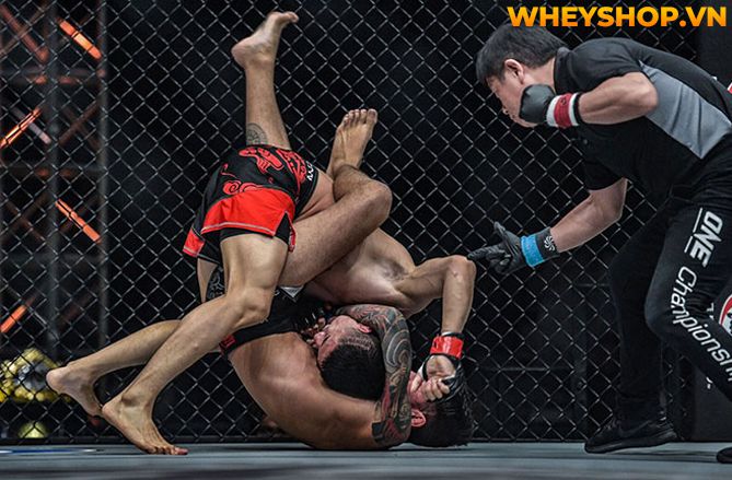 MMA là gì mà tại sao nhiều người lại biết đến và nhanh chóng trở nên phổ biến như vậy trên toàn thế giới? Hãy cùng WheyShop tìm hiểu tất cả những thông tin...