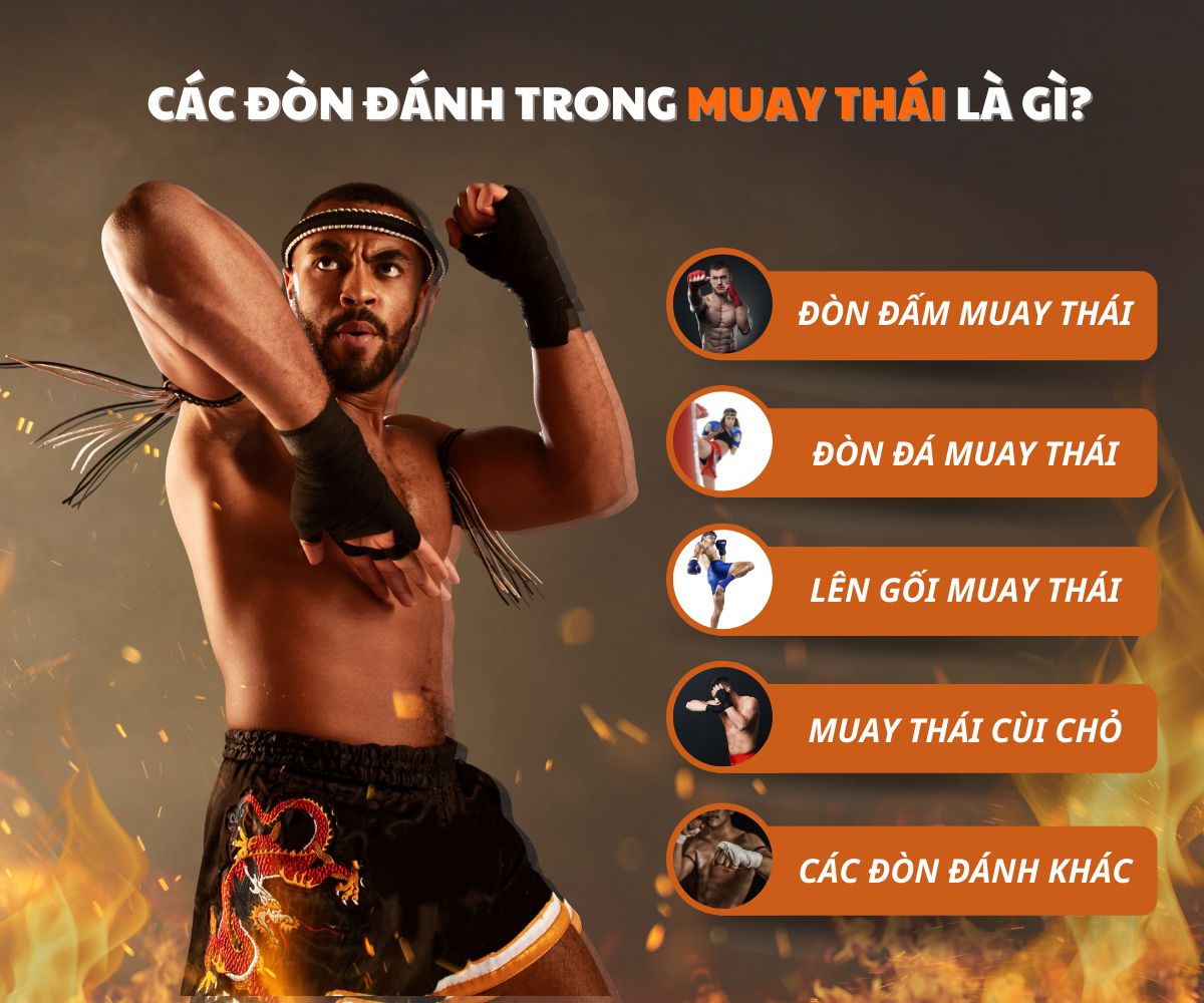 Muay Thái là một bộ môn võ nổi tiếng của Thái Lan về độ mạnh mẽ cũng như tính chuẩn xác của nó. Bài viết dưới đây WheyShop sẽ giới thiệu cho các bạn hiểu rõ...
