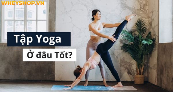 Nếu bạn đang phân vân không biết nên tập Yoga ở đâu thì hãy cùng WheyShop tìm hiểu chi tiết qua bài viết ngay sau đây nhé...