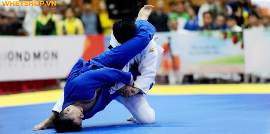 Judo là môn võ khá nổi tiếng ở Việt Nam hiện nay và được dạy ở khắp mọi nơi, dành cho mọi đối tượng. Bài viết này WheyShop sẽ giúp cho bạn có cái nhìn tổng...
