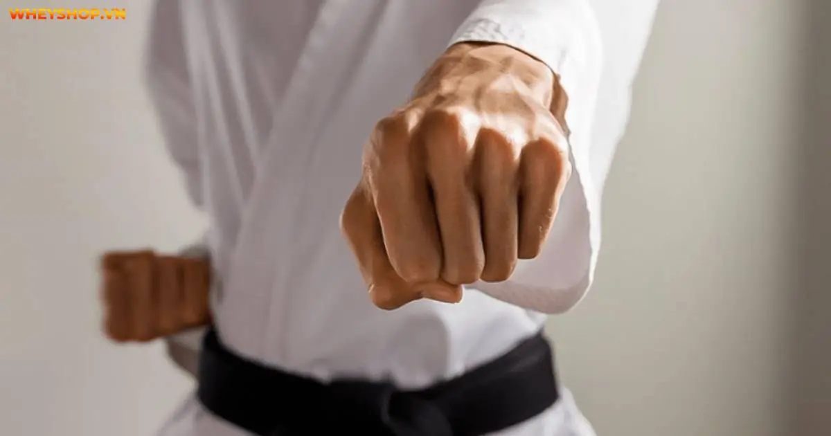 taekwondo-la-gi-huong-dan-tap-taekwondo(4)