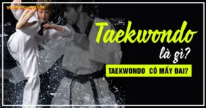 Taekwondo là gì? Taekwondo có mấy đai? 5 động tác cơ bản trong Taekwondo