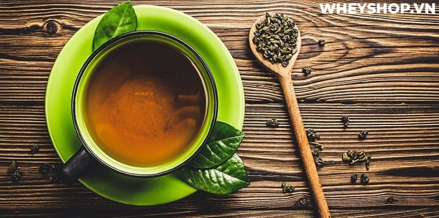 Nếu bạn đang băn khoăn không biết uống trà xanh như thế nào để giảm cân thì hãy cùng WheyShop tham khảo chi tiết bài viết ngay sau đây nhé...